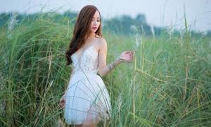 ကန်ဘောင်ပေါ်က ရမ္မက်ကြမ်း