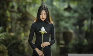 စိတ်ရဲ့ခေါ်ဆောင်ရာ